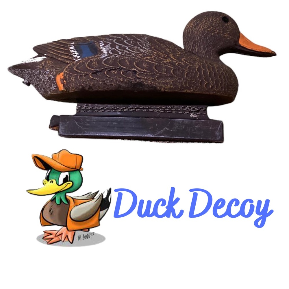 Duck Decoy